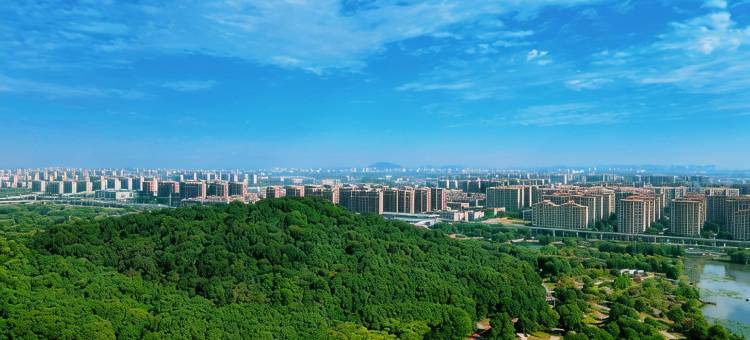 三只猫青年旅舍(芜湖汇金广场店)图片