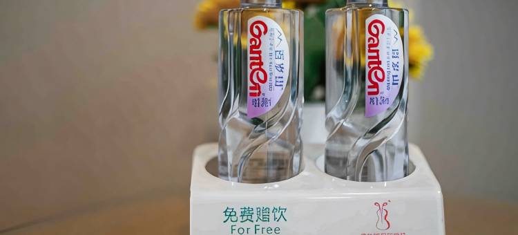 维也纳国际酒店(佛山花卉世界店)图片