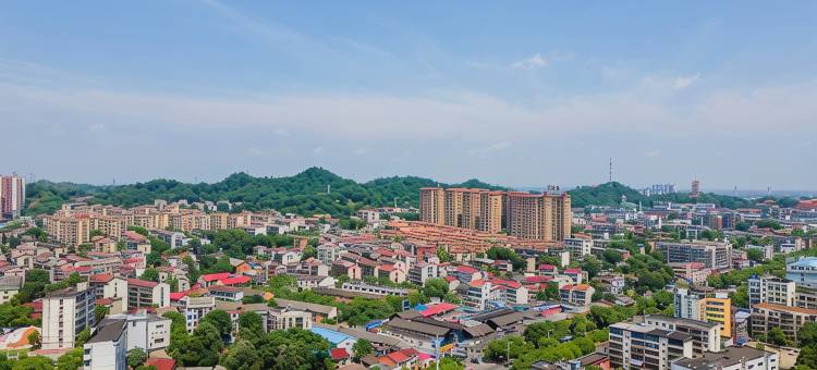 益阳通程国际大酒店图片