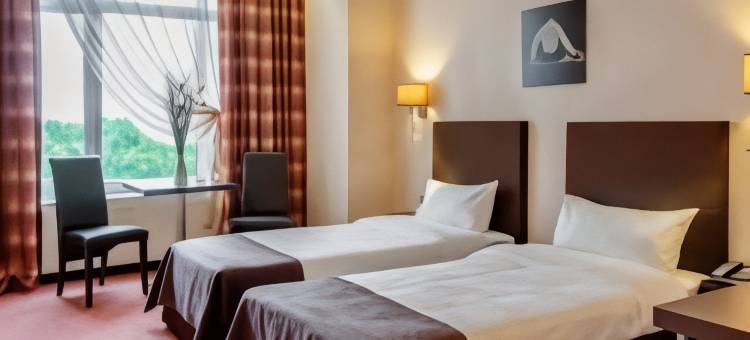 Rumyantsevo Zont集团Sunflower酒店(Sunflower Rumyantsevo by Zont Hotel Group Hotel)图片