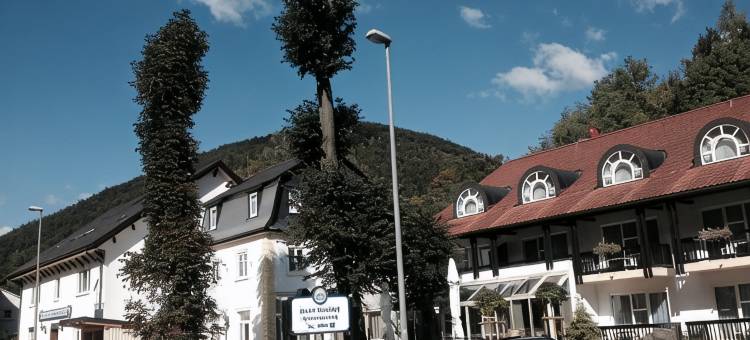 胡登史泰纳施酒店(Hotel-Gasthof Hüttensteinach)图片