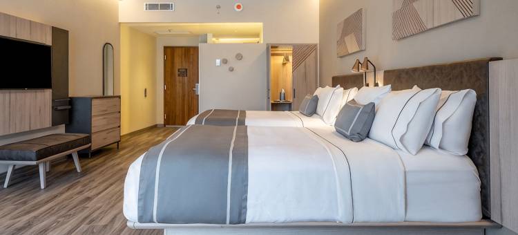 蒙特雷市中心万豪City Express酒店(City Express Plus by Marriott Monterrey Centro)图片