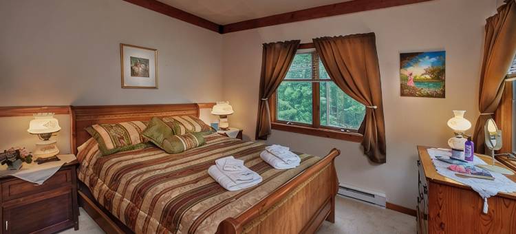 湖滨绝美四季皆宜私密度假屋！(Amazing All-Season Private Lakefront Retreat!)图片