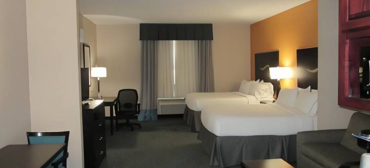 智选假日套房酒店斯托克顿堡(Holiday Inn Express & Suites Fort Stockton)图片