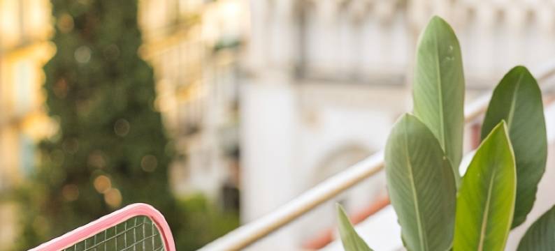 尼斯城中心圣母院美居酒店(Nice Centre Hotel)图片