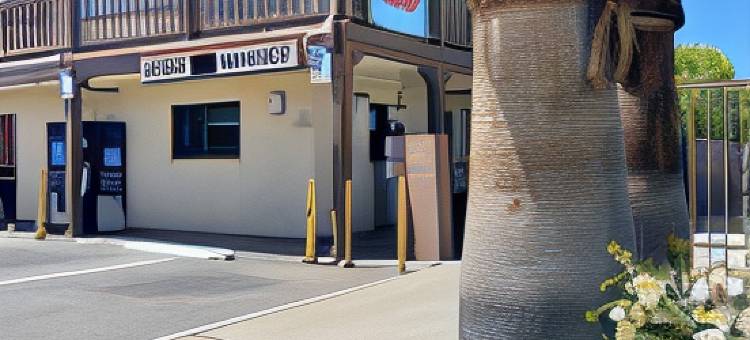 棕榈套房旅店(Palms Inn & Suites)图片