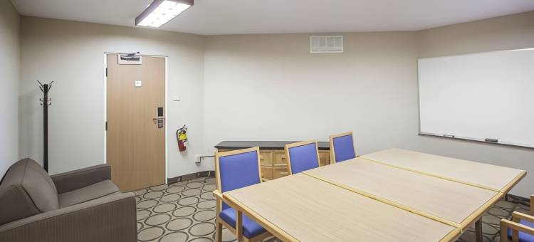 西埃德蒙顿舒适酒店(Comfort Inn West)图片