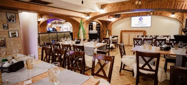 科瑞艾维塔酒店(Bacolux Craiovita, Craiova)图片