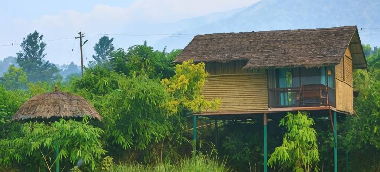 库曼科利传统度假村(Koomankolly Resort)图片