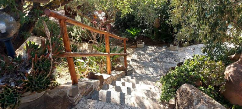 迪塞杰斯塔住宿加早餐旅馆(La Suite di Segesta)图片