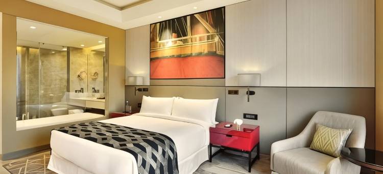 法里达巴德丽笙酒店(Radisson Blu Faridabad)图片