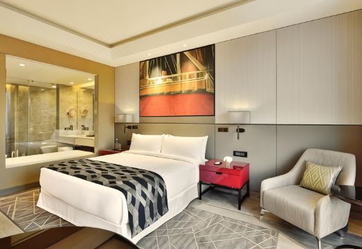 Radisson Blu FaridabadHotel Overview