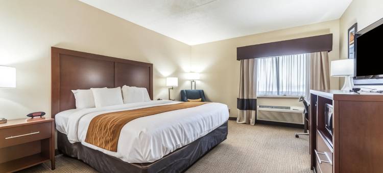 费斯特-南圣路易斯舒适酒店(Comfort Inn Festus-St Louis South)图片