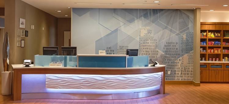 达拉斯路易斯维尔万豪SpringHill Suites 酒店(SpringHill Suites Dallas Lewisville)图片