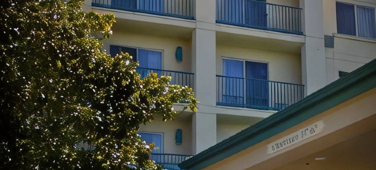 波特兰泰格德万怡酒店(Courtyard Portland Tigard)图片