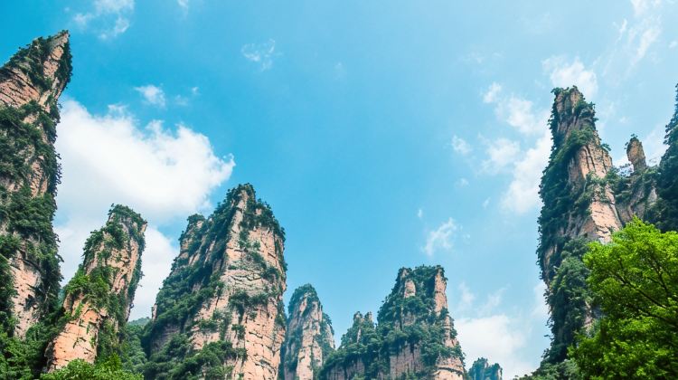 5D4N · Private Tours · Beat the summer heat in Zhangjiajie's cool forests. Enjoy private guided tours, water activities, and flexible vehicle upgrades for your group.