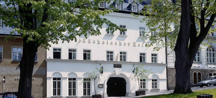 萨克森霍夫酒店(Hotel Sächsischer Hof)图片