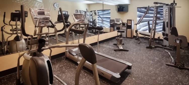 纽奥良机场贝斯特韦斯特优质酒店(Best Western Plus New Orleans Airport Hotel)图片