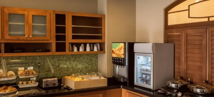 伯明翰市中心uab万豪SpringHill酒店(SpringHill Suites Birmingham Downtown at UAB)图片