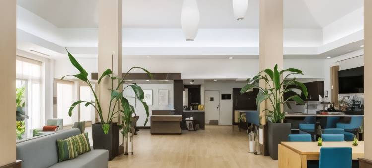 玛丽湖希尔顿花园酒店(Hilton Garden Inn Orlando North/Lake Mary)图片