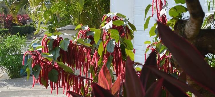 佛罗伦萨北部速8酒店(Sleep Inn Florence North)图片