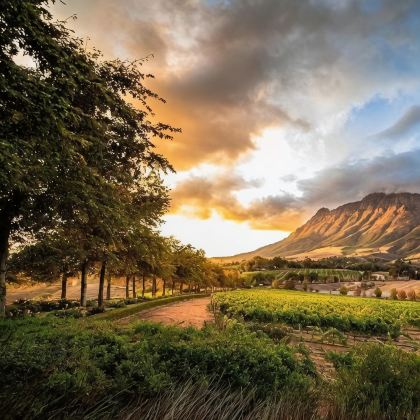 南非12日10晚私家团