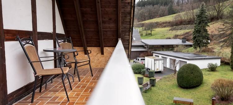 蒂芬哈根萨尔兰酒店(Hotel Tiefenhagen Sauerland)图片