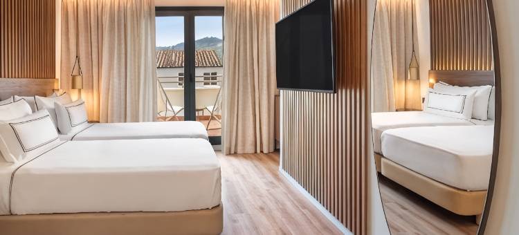 格拉纳达美利亚酒店(Melia Granada)图片