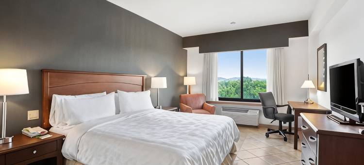 Holiday Inn 市知识(Holiday Inn PANAMA CANAL by IHG)图片