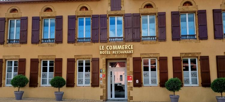 洛吉斯商务餐厅酒店(Logis Hôtel Restaurant du Commerce)图片