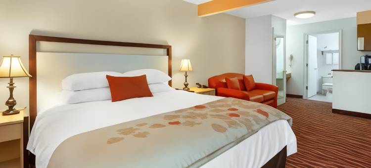 阿伦敦-弗格斯维尔浩枫套房酒店(Hawthorn Suites by Wyndham Allentown-Fogelsville)图片