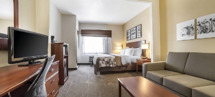 道格拉斯舒眠套房酒店(Sleep Inn & Suites)图片
