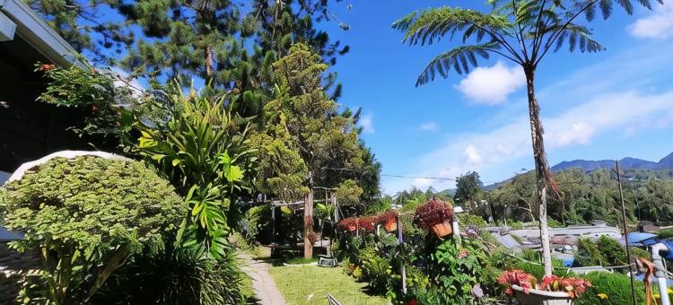 金马伦高原后院豪华露营酒店(The Backyard Glamping Cameron Highlands)图片
