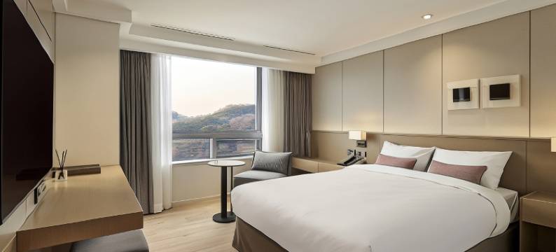 因特-伯格EXCO酒店(Hotel Interburgo Exco)图片