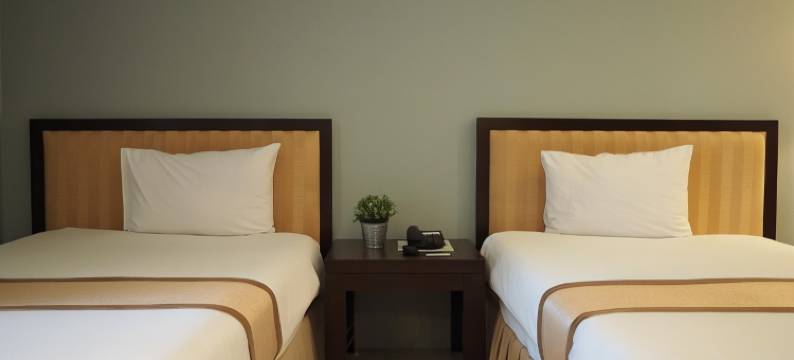 大城普罗苏克酒店(Phromsuk Hotel Ayutthaya)图片