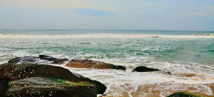 索玛棕榈岸度假村(Soma Palmshore)图片