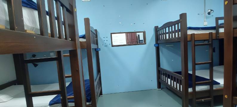 迪泽巴克派克尔斯(DZ Backpackers)图片