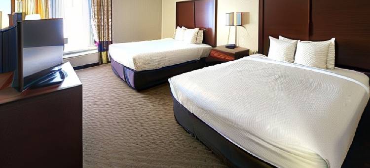 舒适套房酒店(Comfort Inn & Suites Mount Pocono)图片