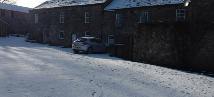金狮老马车屋酒店(Old Coach House at the Golden Lion)图片