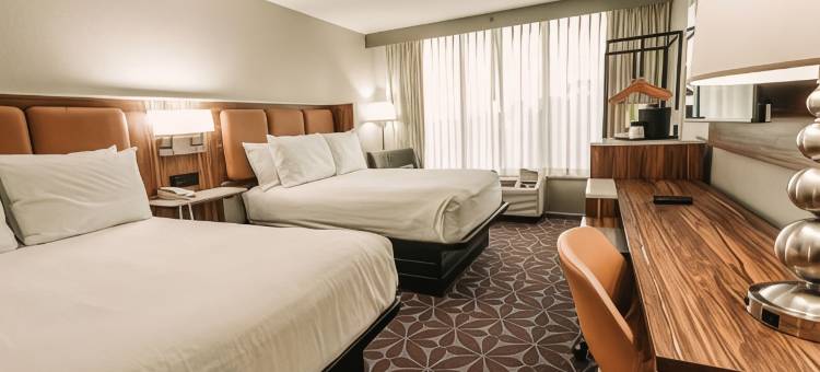 威廉斯堡布希花园区温德姆花园酒店(Wyndham Garden Williamsburg Busch Gardens Area)图片