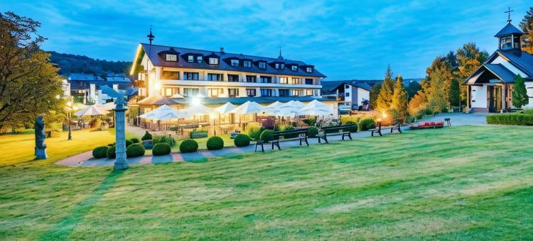 布鲁恩霍夫贝斯特韦斯特酒店(Best Western Hotel Brunnenhof)图片