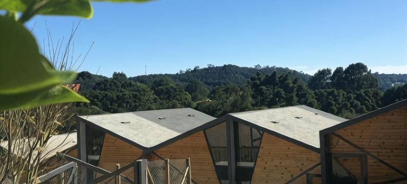 皮科16酒店(Hotel Pico 16)图片