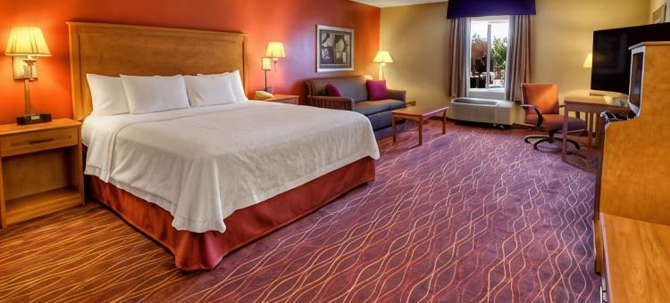 希尔顿欢朋酒店-特温福尔斯(Hampton Inn Twin Falls)图片