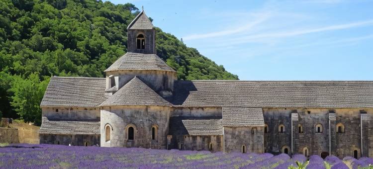 克洛斯圣皮埃尔德弗雷斯住宿加早餐旅馆(Clos St Pierre de Fraisse)图片