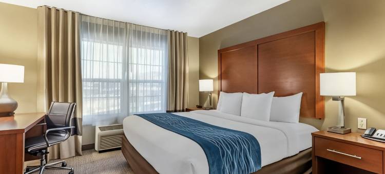 圣乔治北舒适酒店(Comfort Inn Saint George North)图片