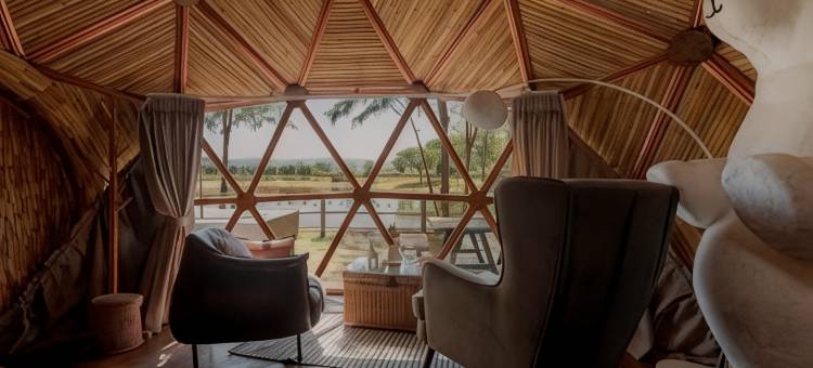 ISBJORN清道(Isbjorn Chiangdao)图片