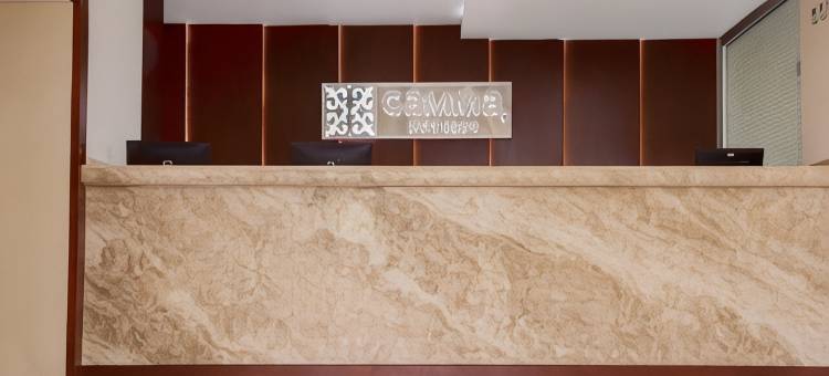 坦皮科迦马酒店(Gamma Tampico)图片