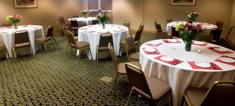 邓迪丽怡酒店(Country Inn & Suites by Radisson, Dundee, MI)图片