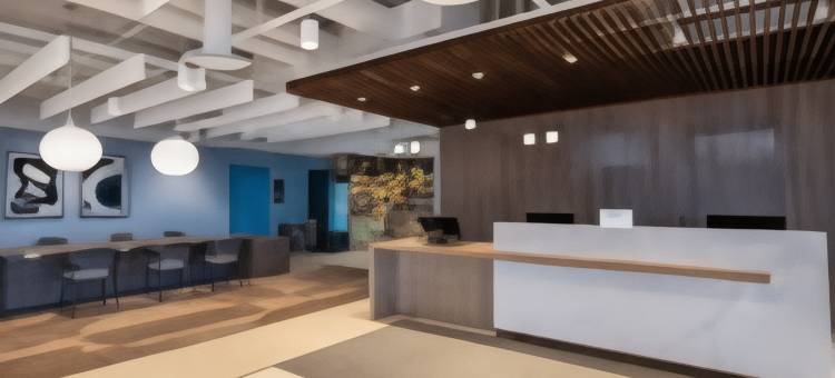 芝加哥奥黑尔假日酒店-罗斯蒙特(Holiday Inn Chicago O'Hare - Rosemont)图片