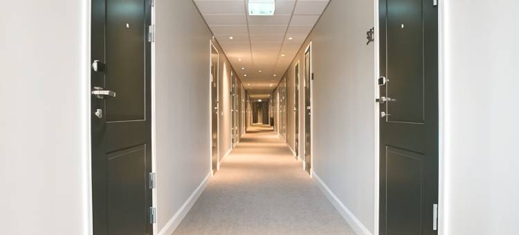 阿姆斯皮特奥主教酒店(Hotel Bishops Arms Piteå)图片